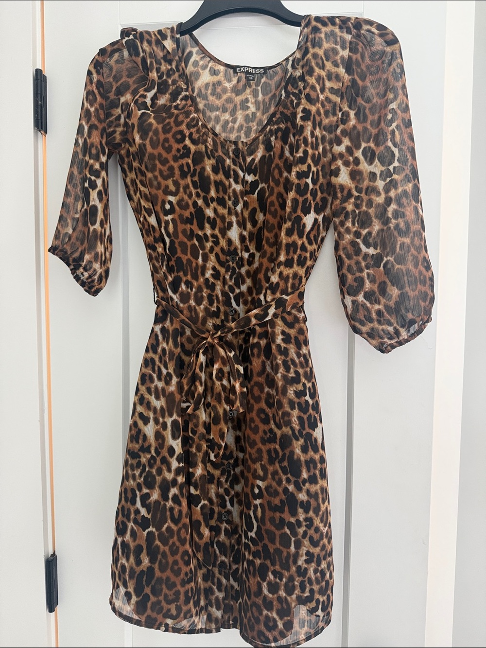 Express Leopard-Print Tie-Waist Dress - Brown & Black